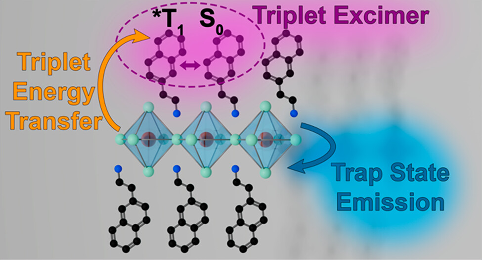 Trap or Triplet? Excited–State Interactions in 2D Perovskite Colloids with Chromophoric Cations